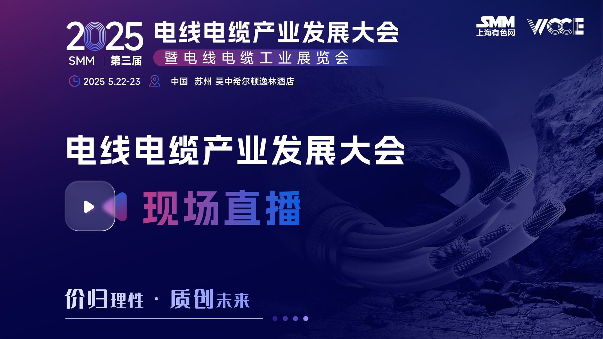 2025电线电缆产业发展大会-第二天论坛
