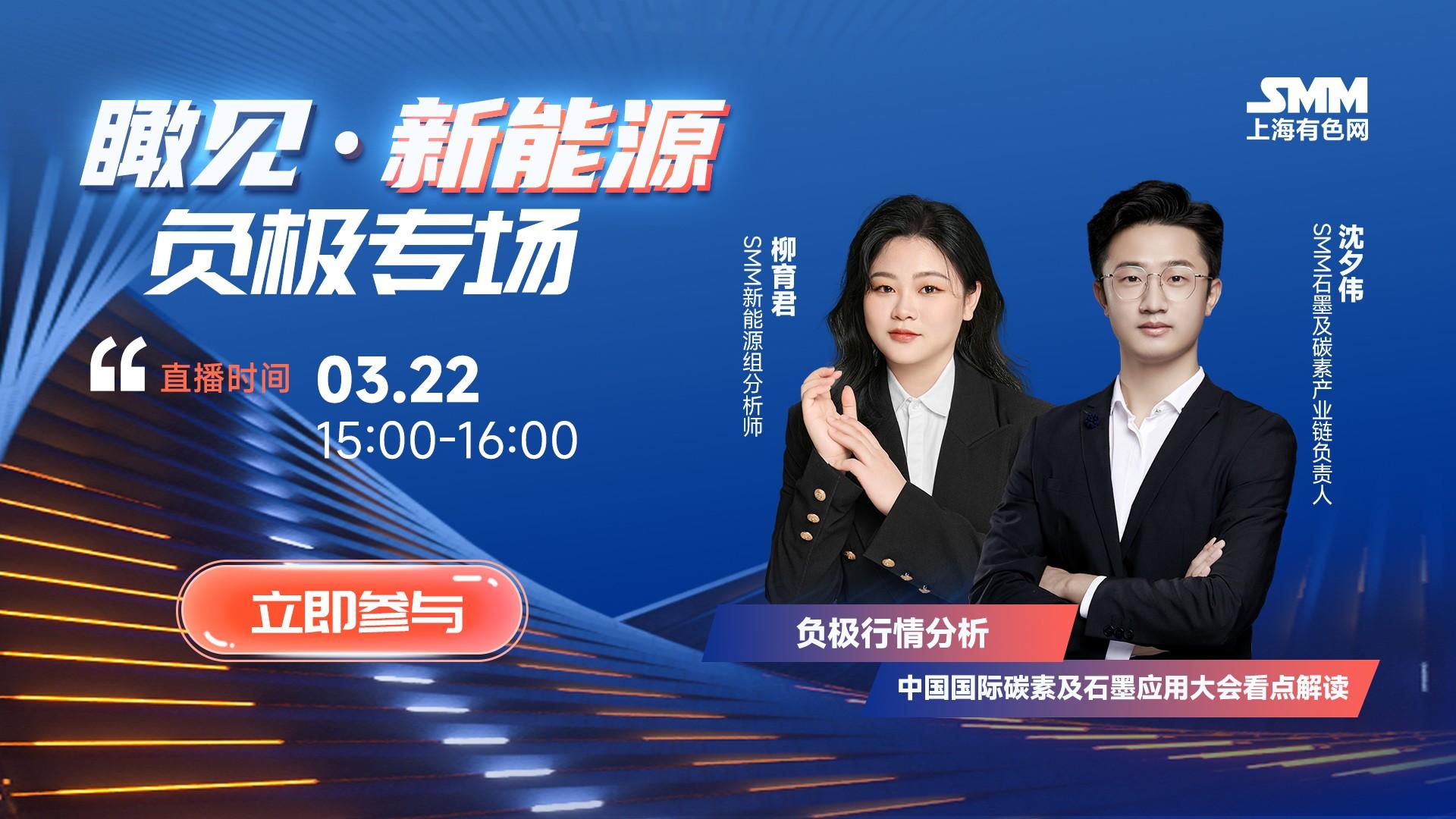 瞰见 新能源丨负极专场