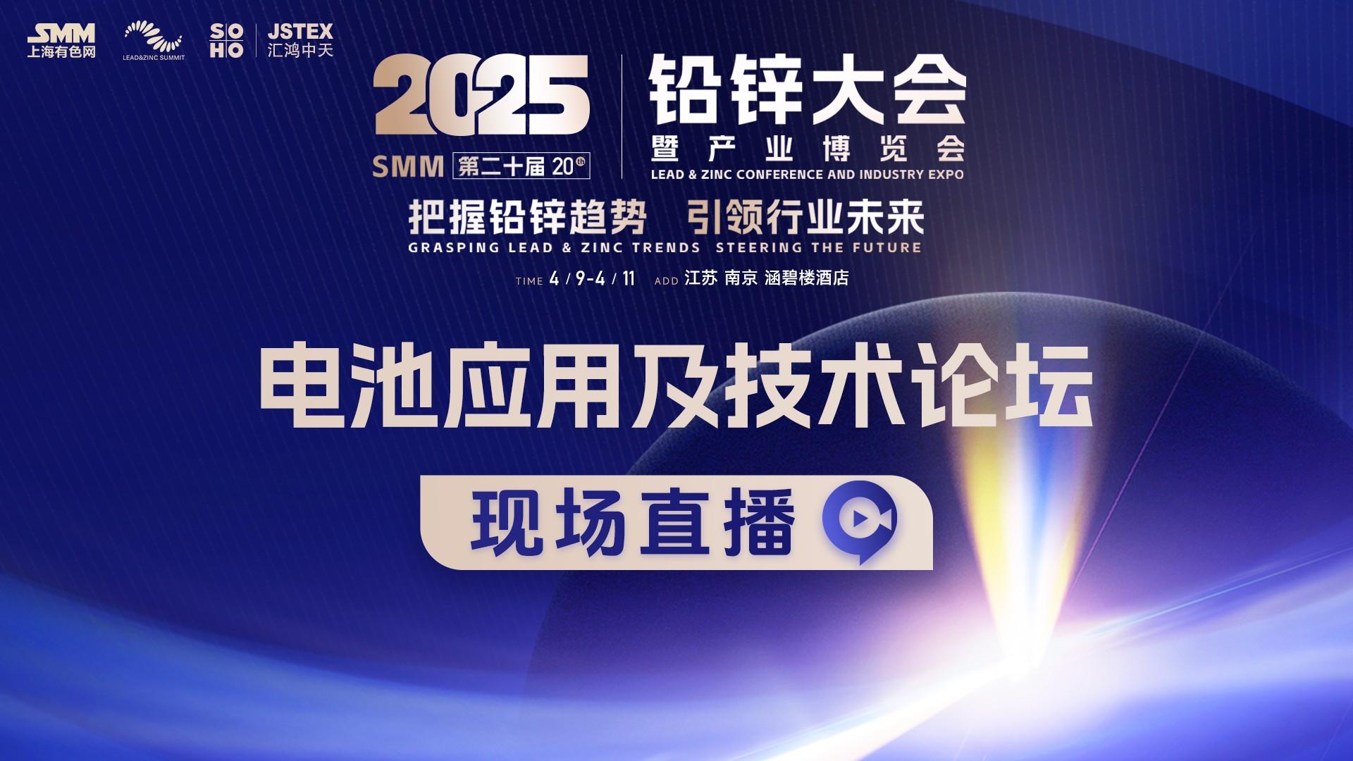 2025铅锌会-电池应用及技术论坛